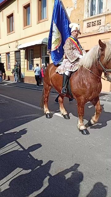 @Andreea Croitoru