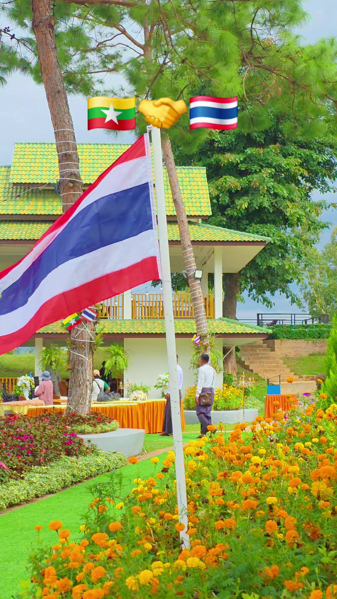 @သစ်တစ်ပင်တောင် (Official)