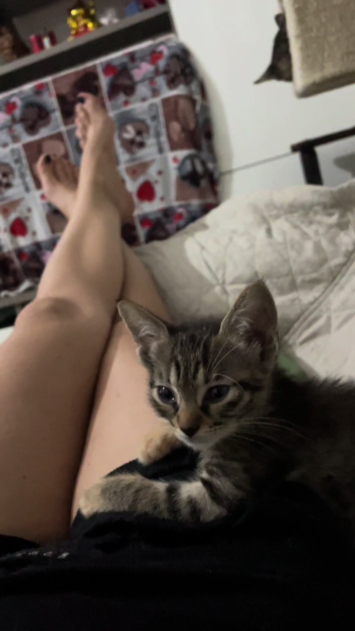 @lalecci_