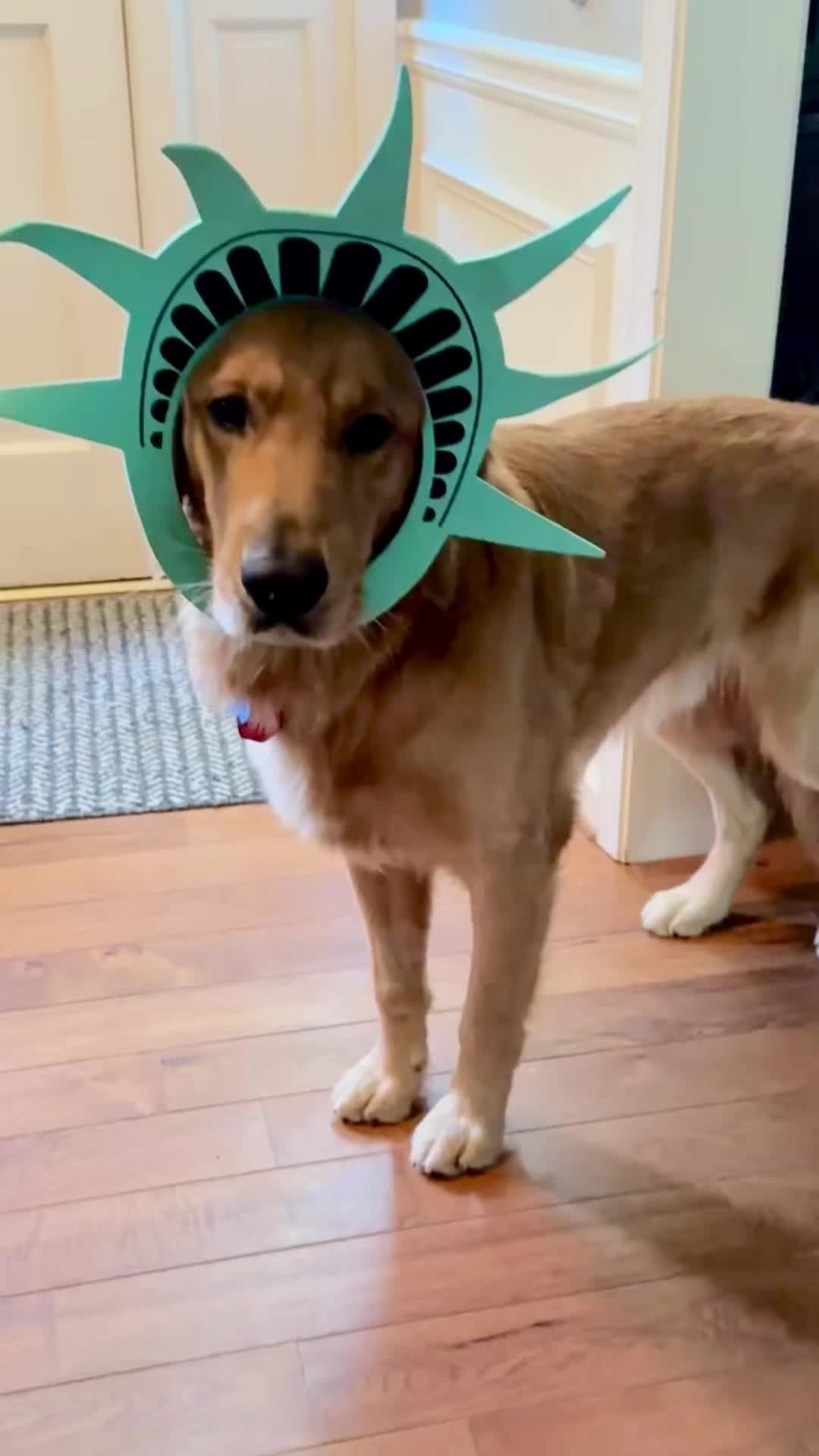 @Charlie the Golden