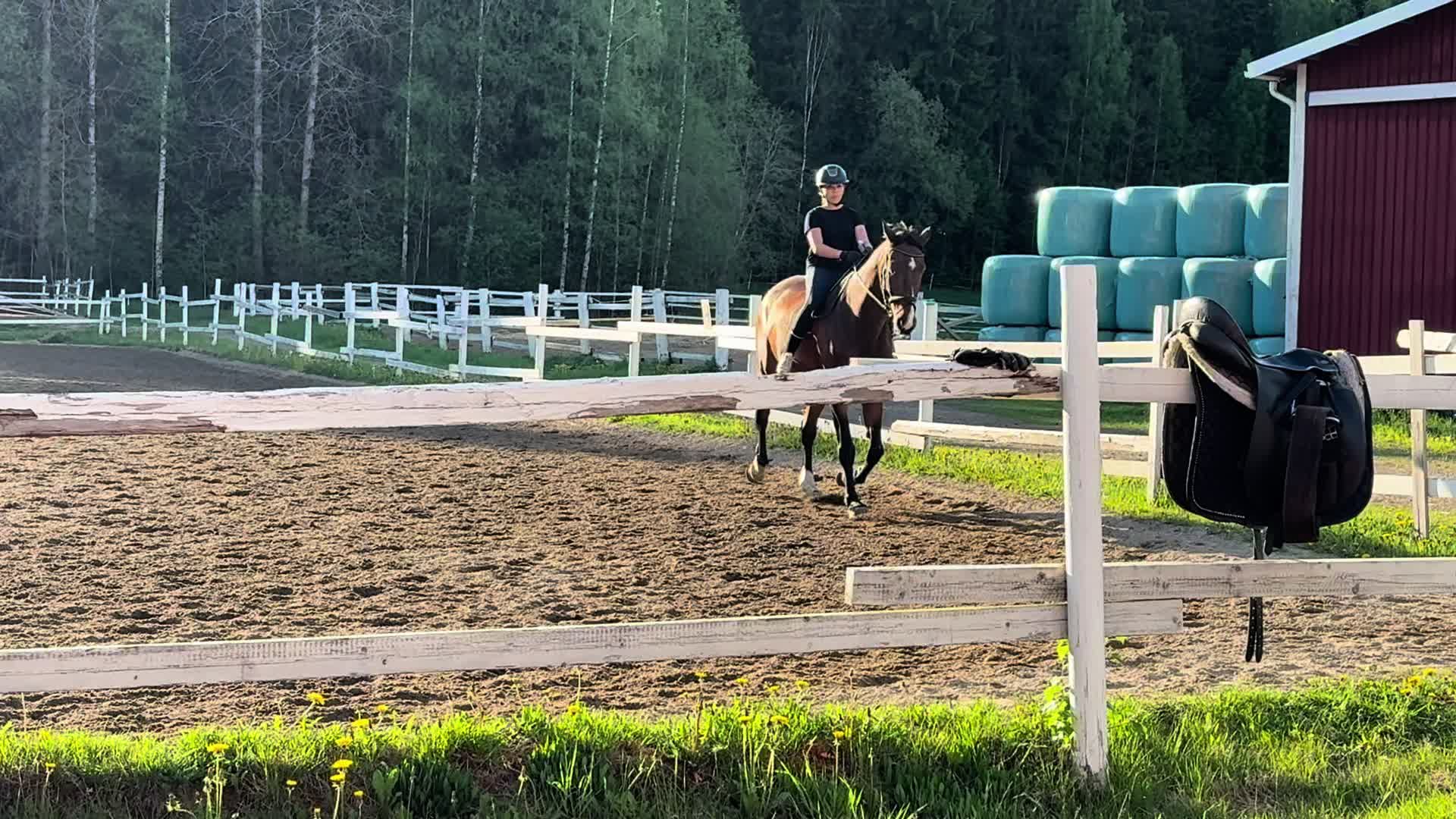 @🏇🏽💨