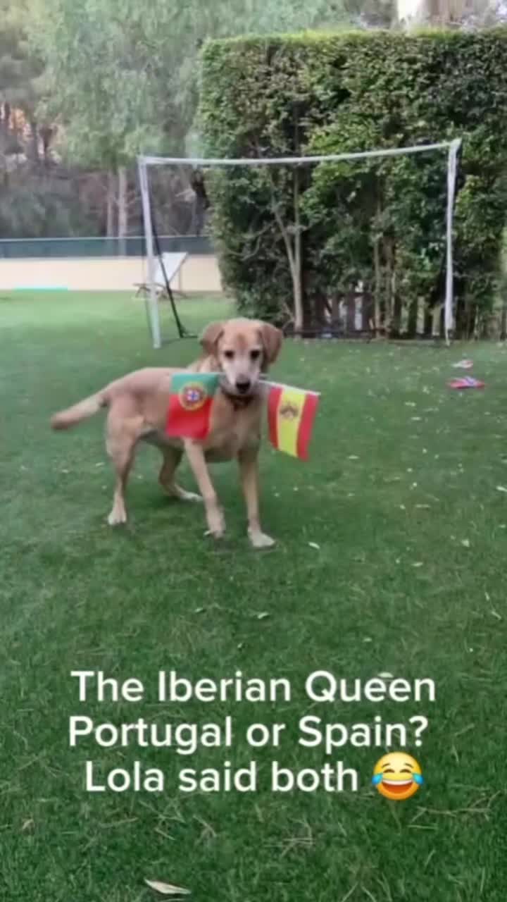 @MessiPaws