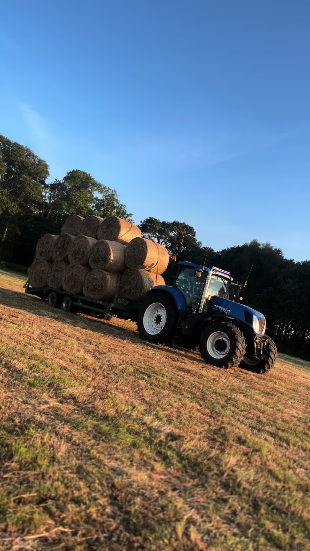 @Piggy🌾🚜