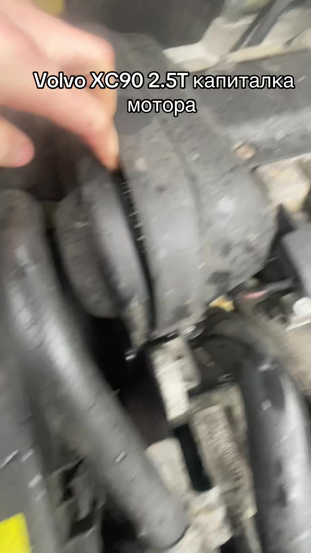 @All Service Automotive