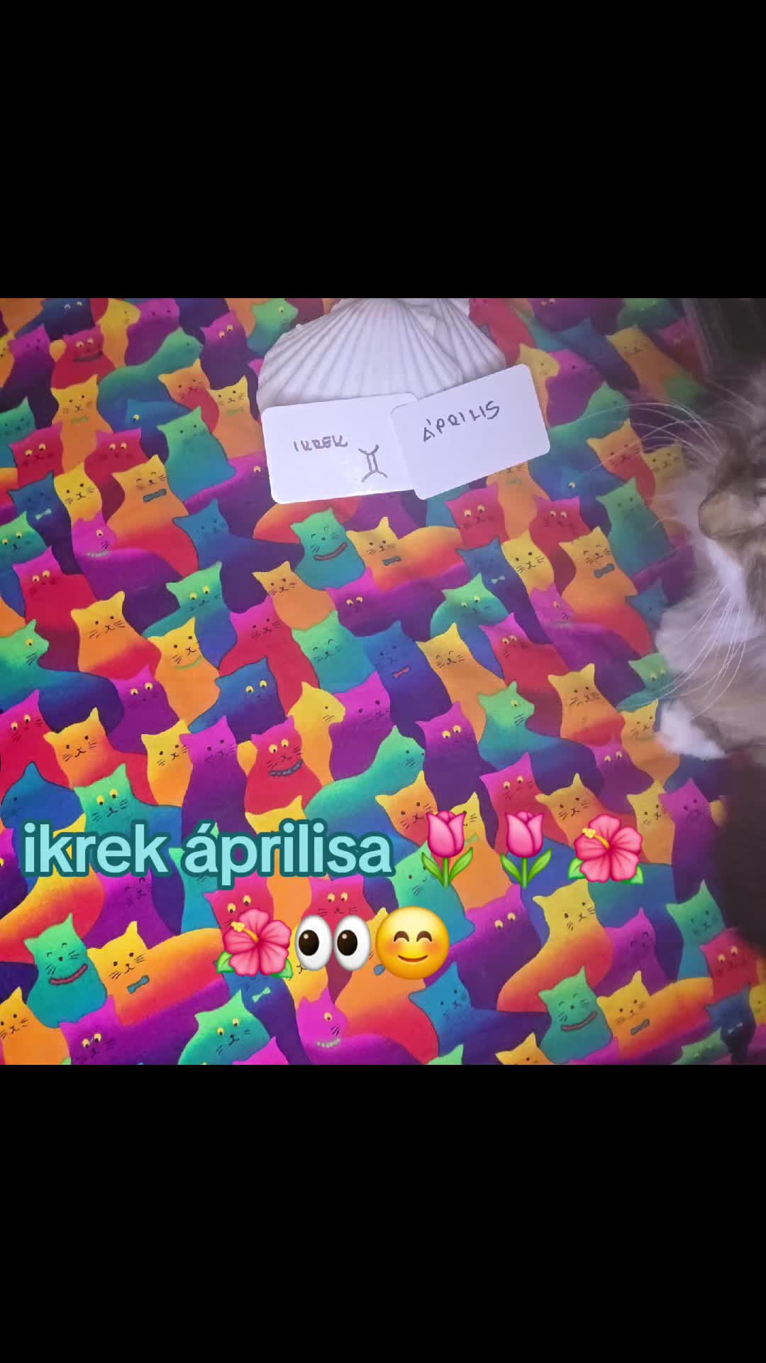 @szakr&aacute;lis var&aacute;zs