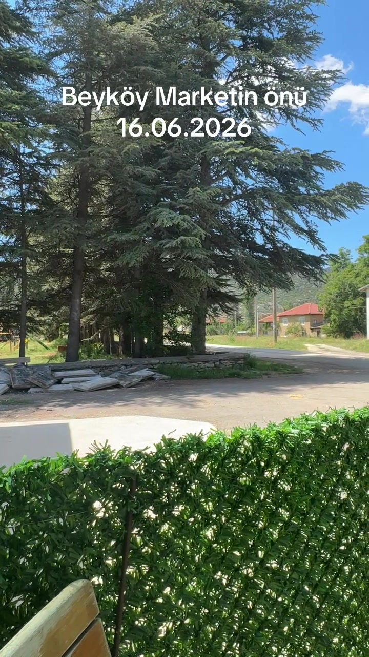 @ŞARKİKARAAĞA&Ccedil;__32