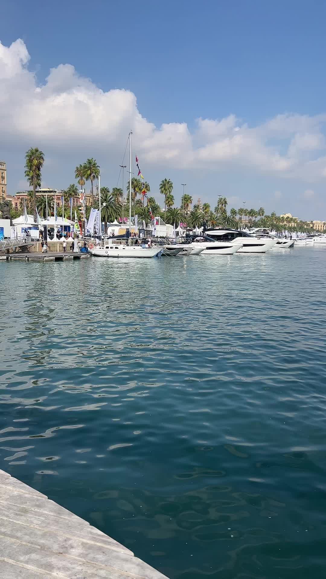 @Rafa Vilalta Rueda