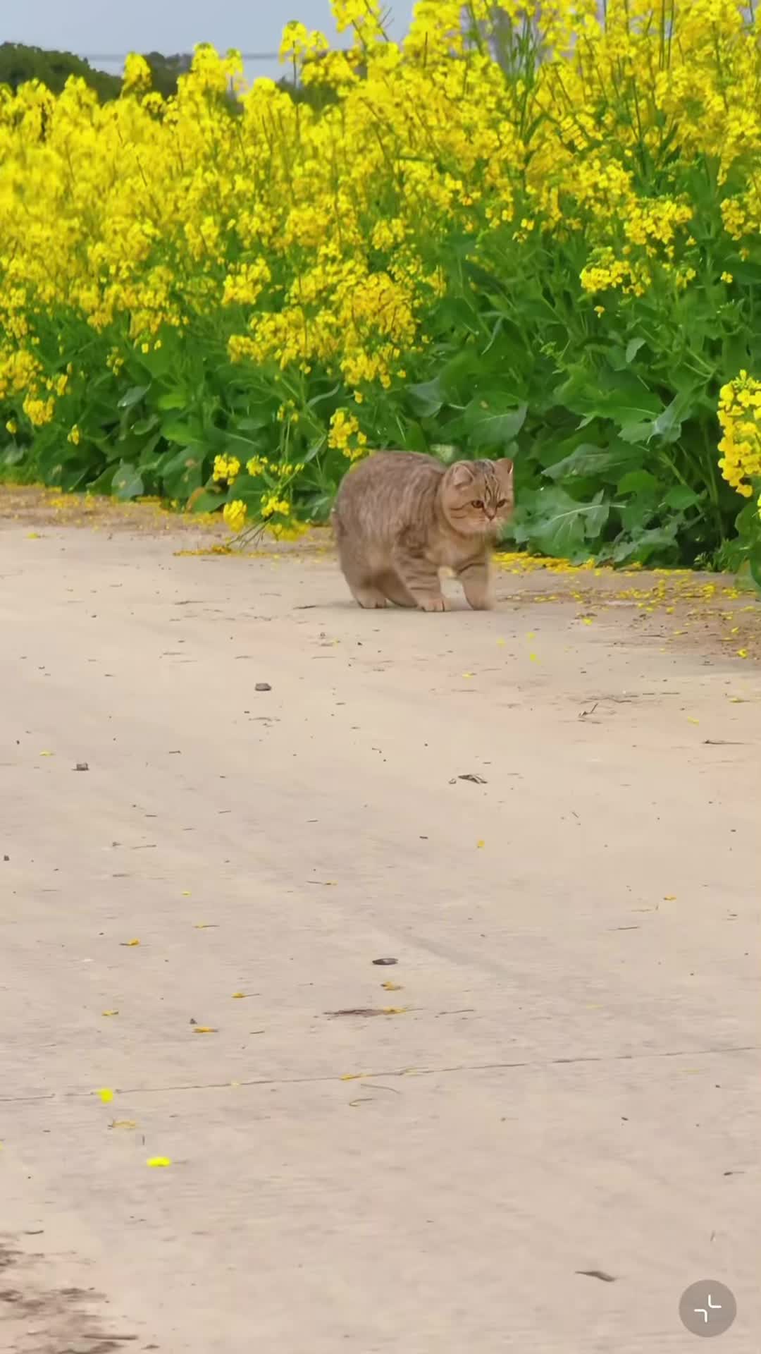 @My Daily Dose of Aww