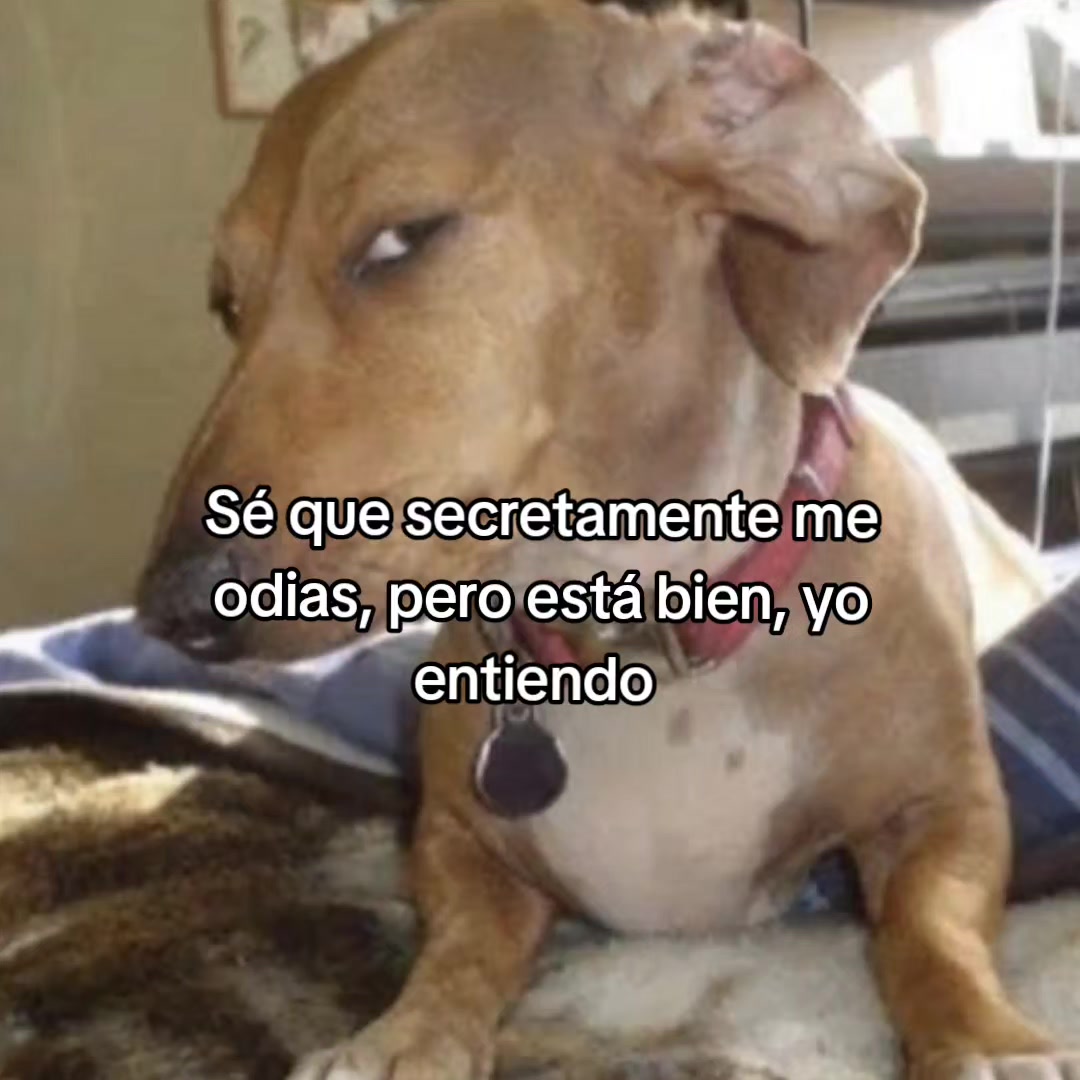@goodvibessxd
