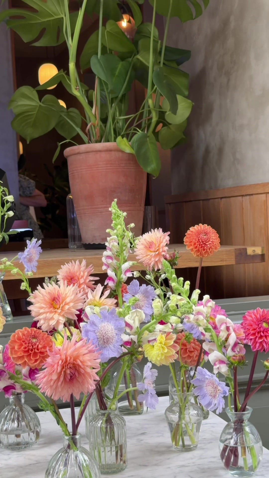 @Lily Cora Flowers 🌸