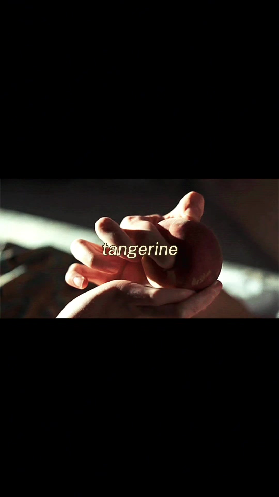 @L@dybug
