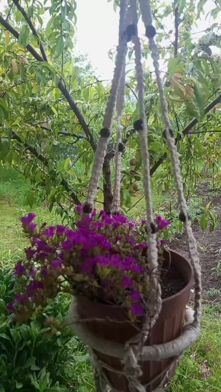 @_Komedi_Bartın oyuncusu