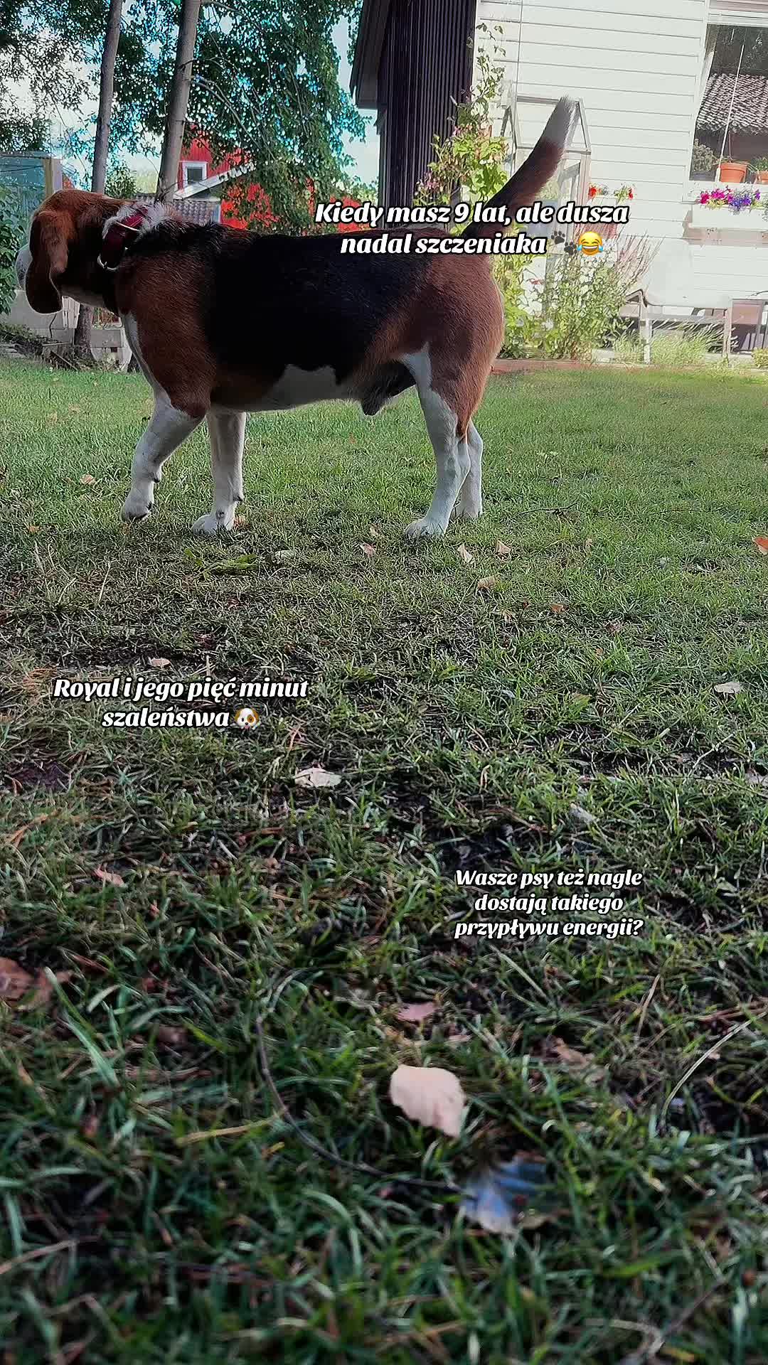 @🐾🌿kavirax12 🌿🐾