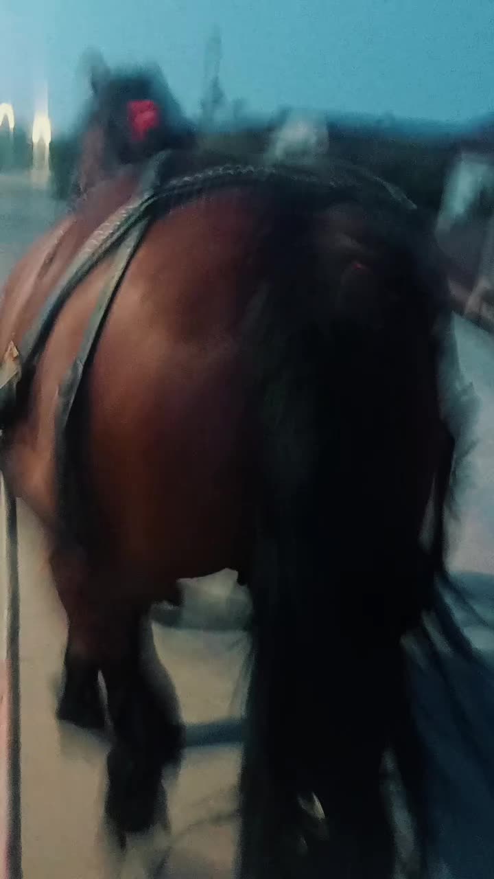 @Cristian Mihaila355