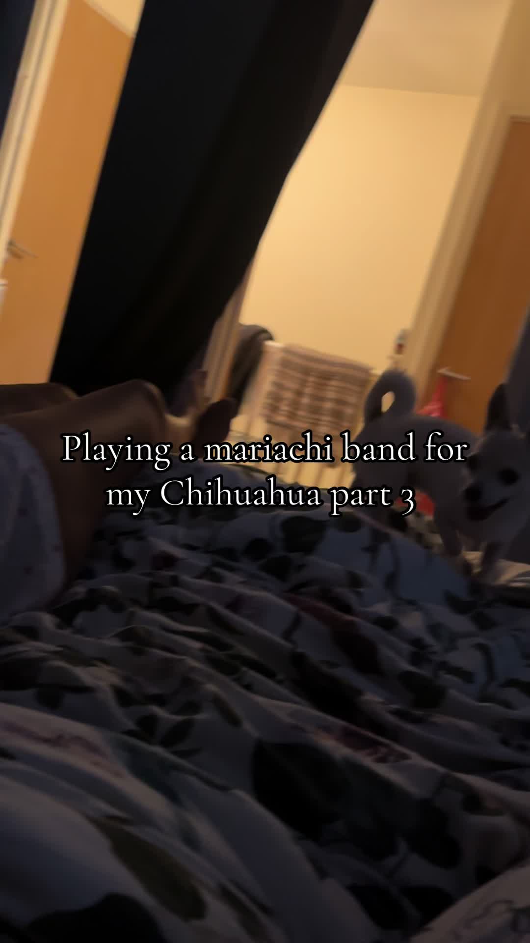 @Mumma_Hexx