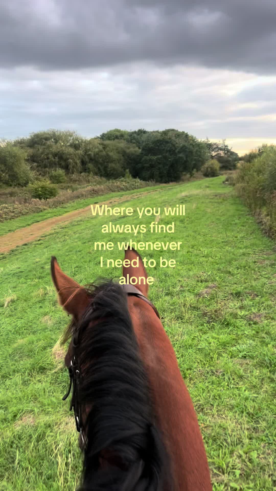 @🥂🐎🦢