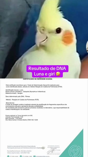 @19marilda62