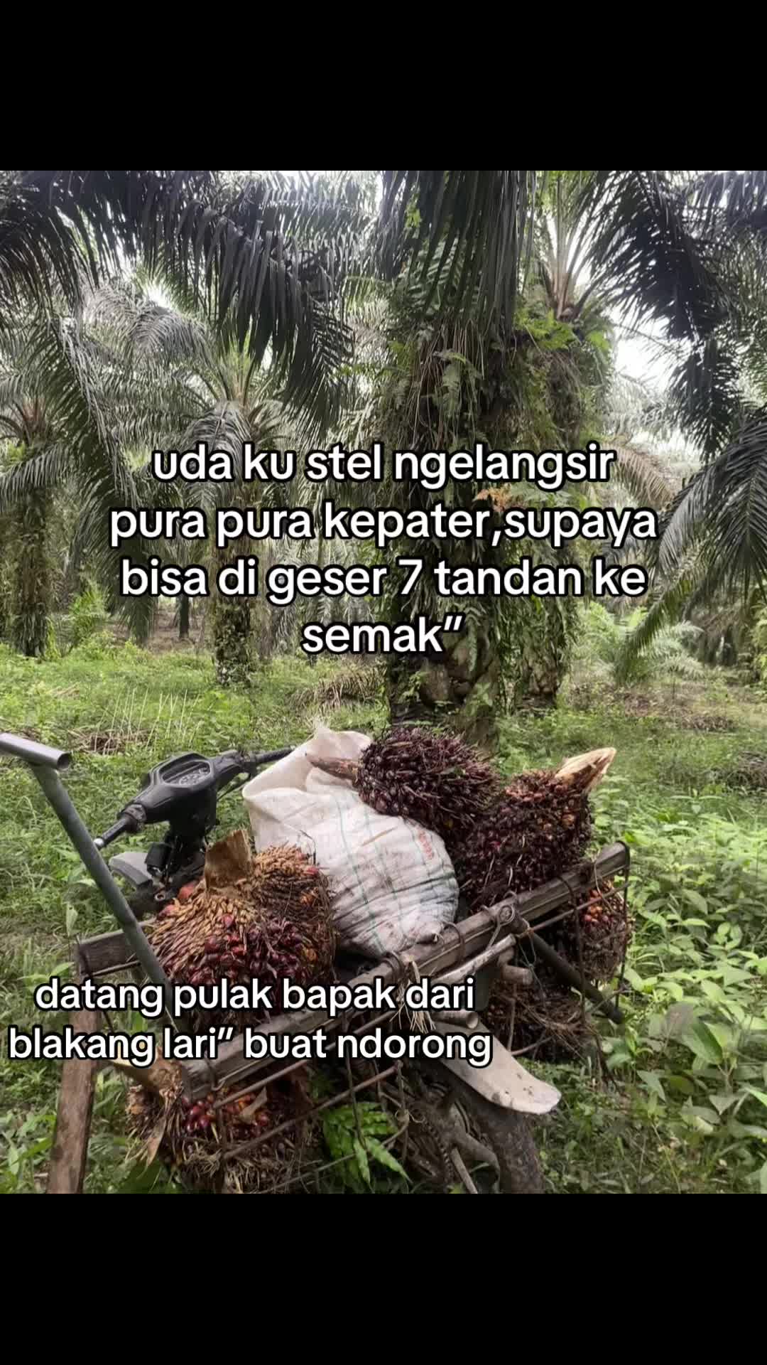 @BAIHAKI