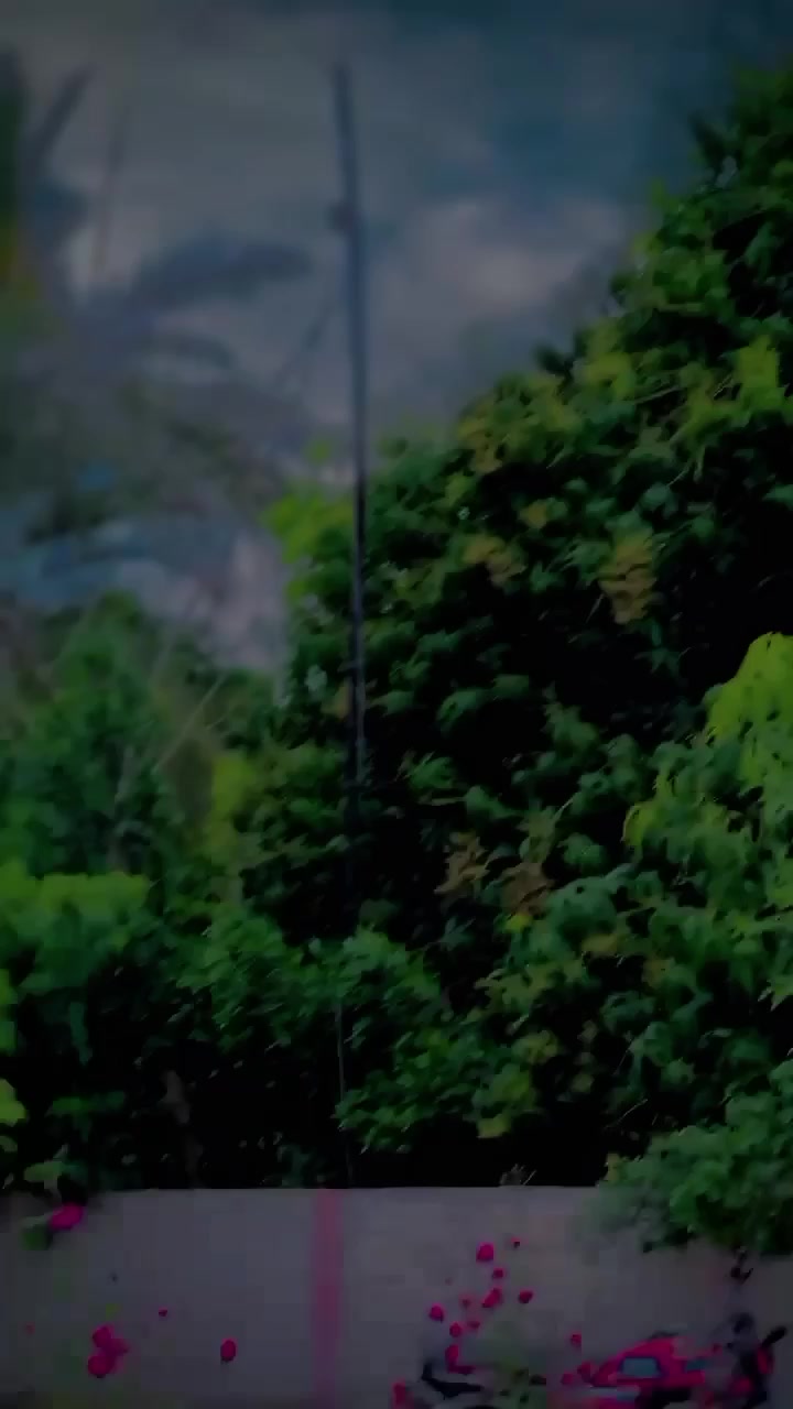 @🥷زیبی ملتان آلا 🥷