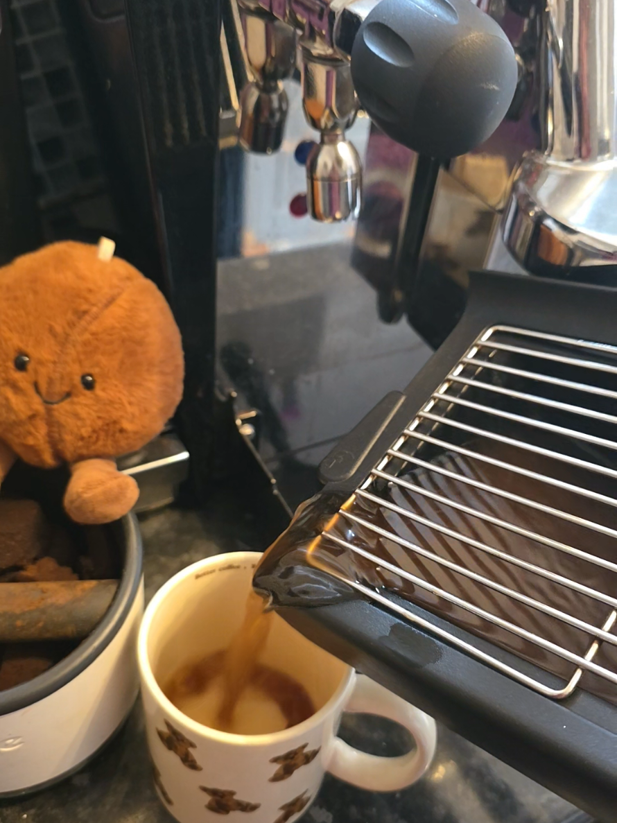 @Fresh Blend Coffee