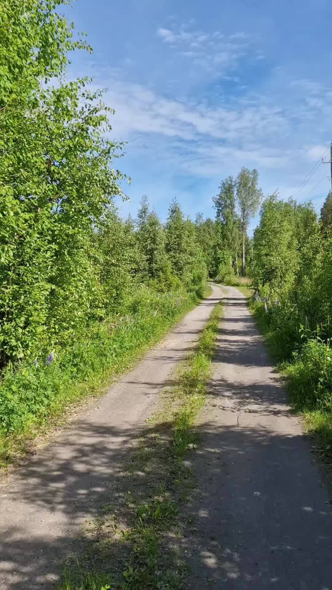 @MustaSyd&auml;n