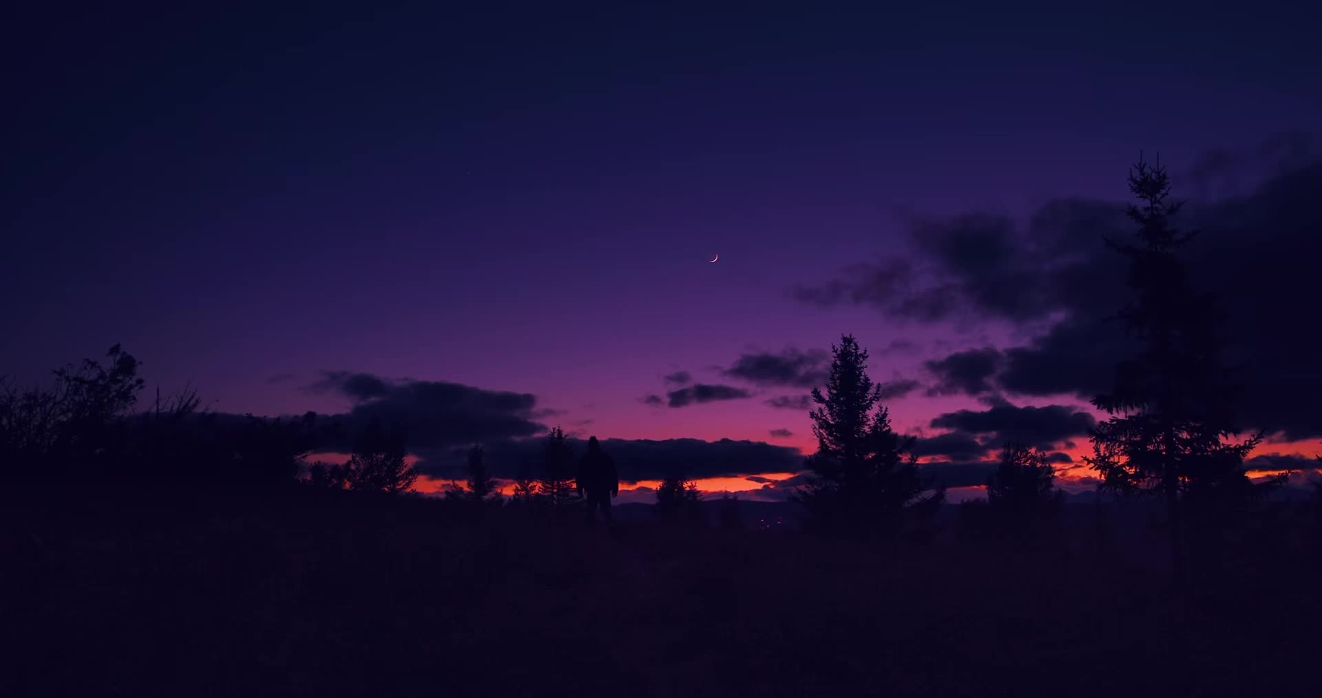 @Lush Visuals