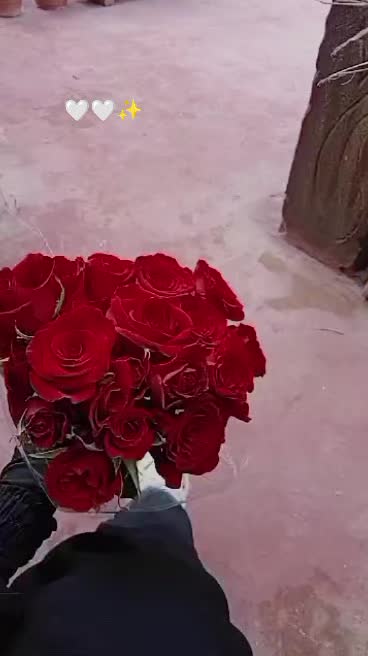 @أثًر  ادلبـﮧَِ💚ۦـية