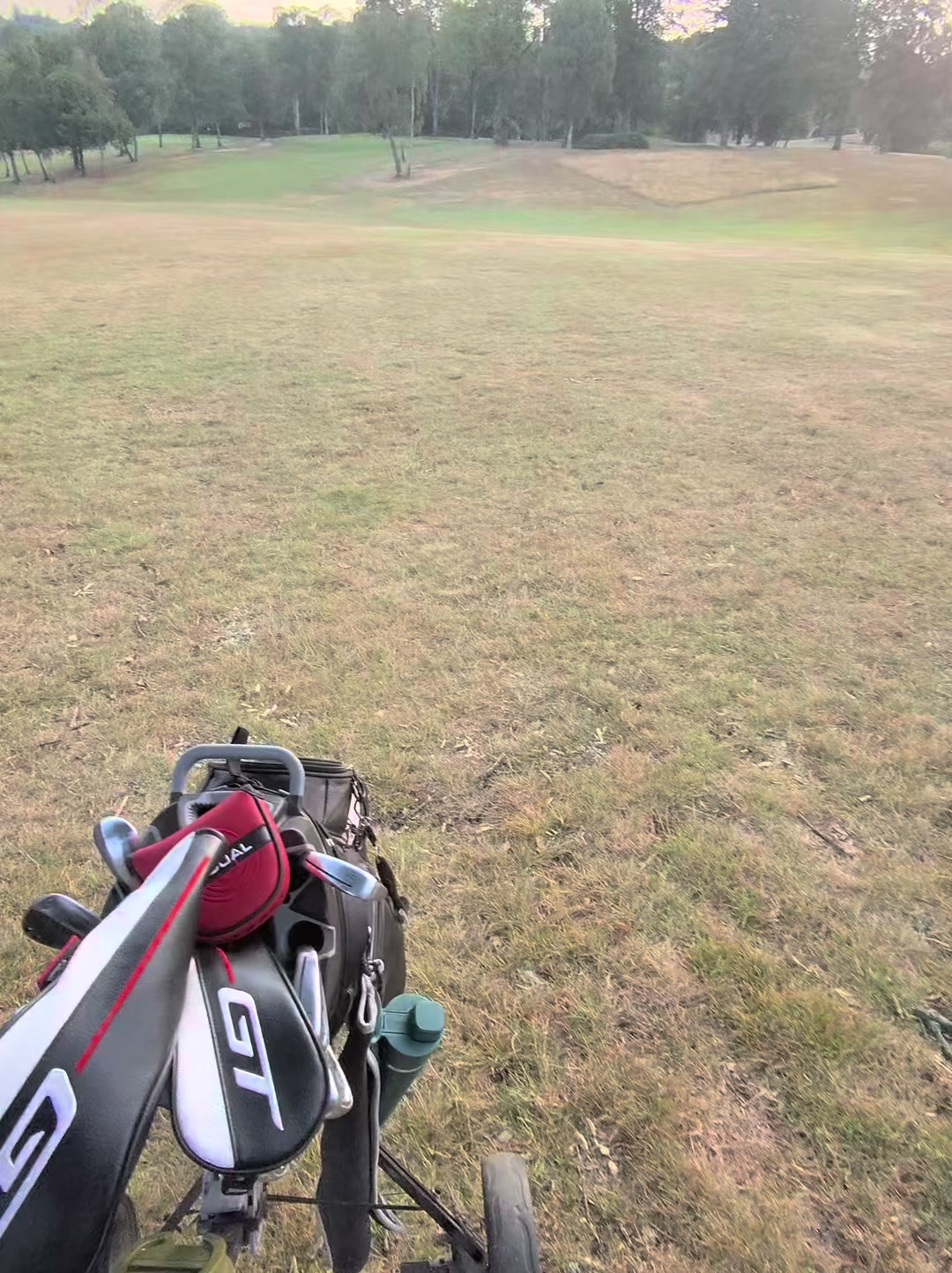 @GolfBite