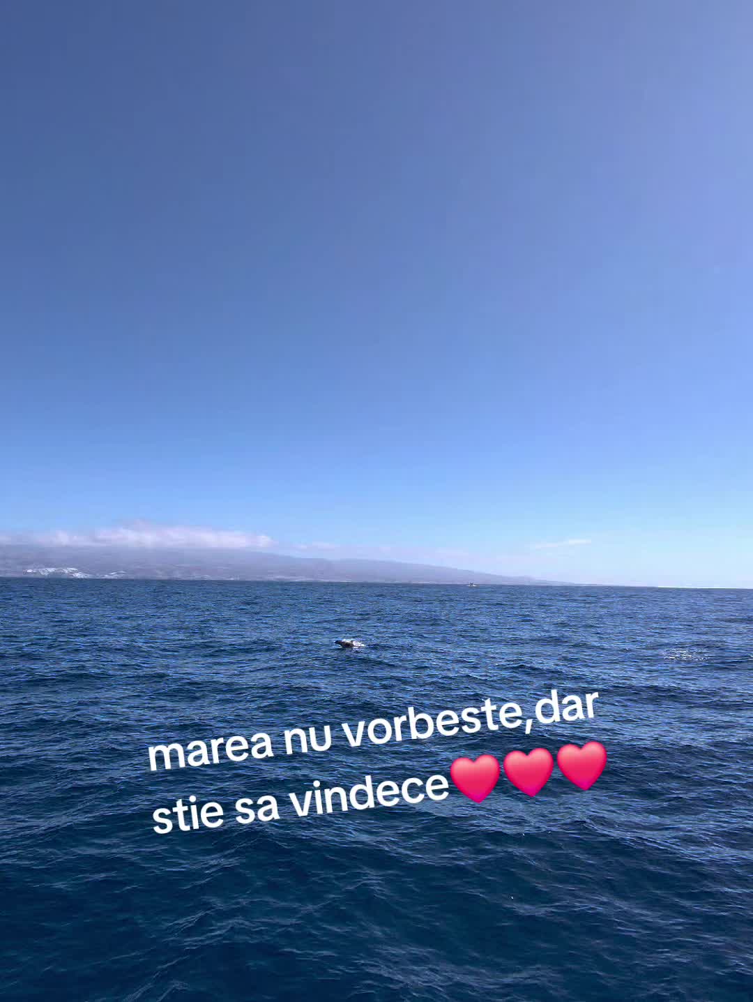 @nebuna_dec🤫❤️🩹🔥