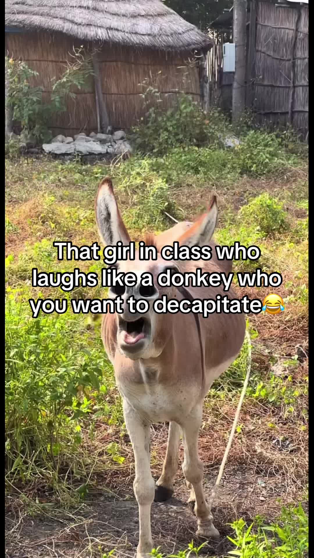 @liltoefungus99