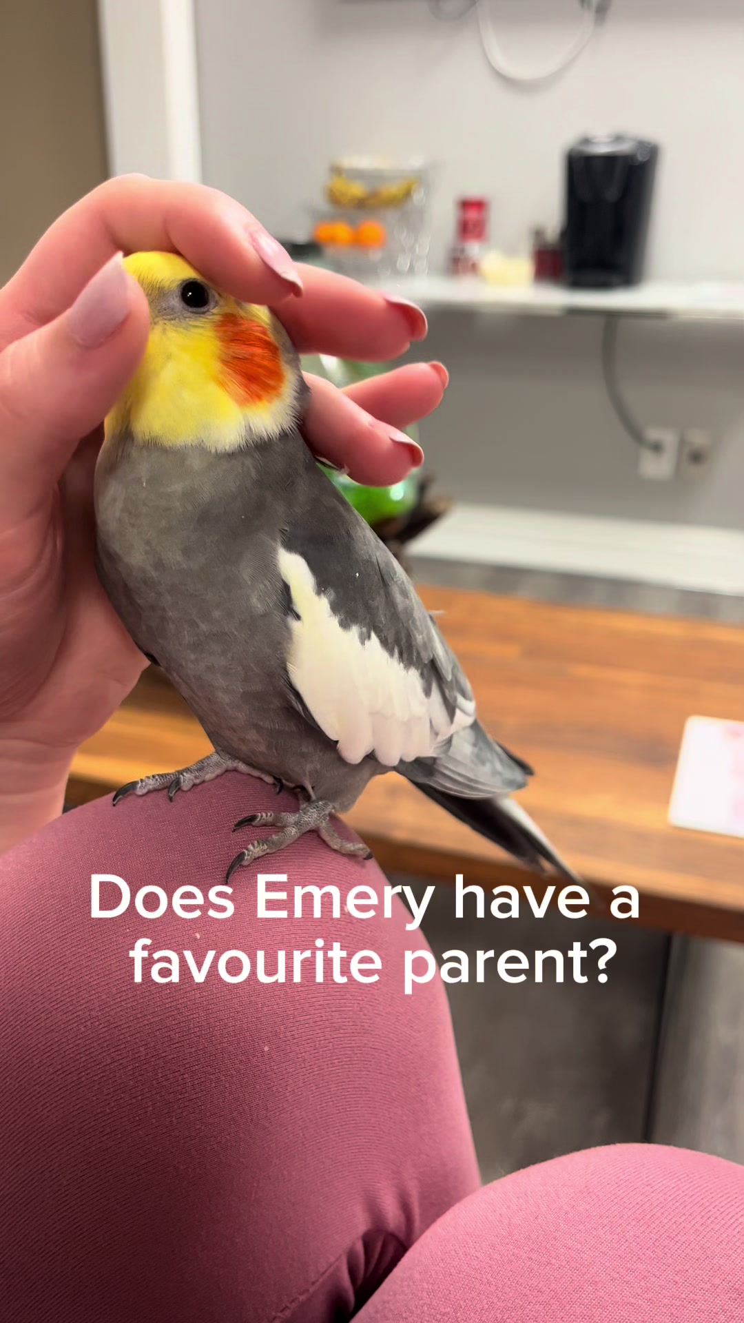 @Emery The Branch Manager