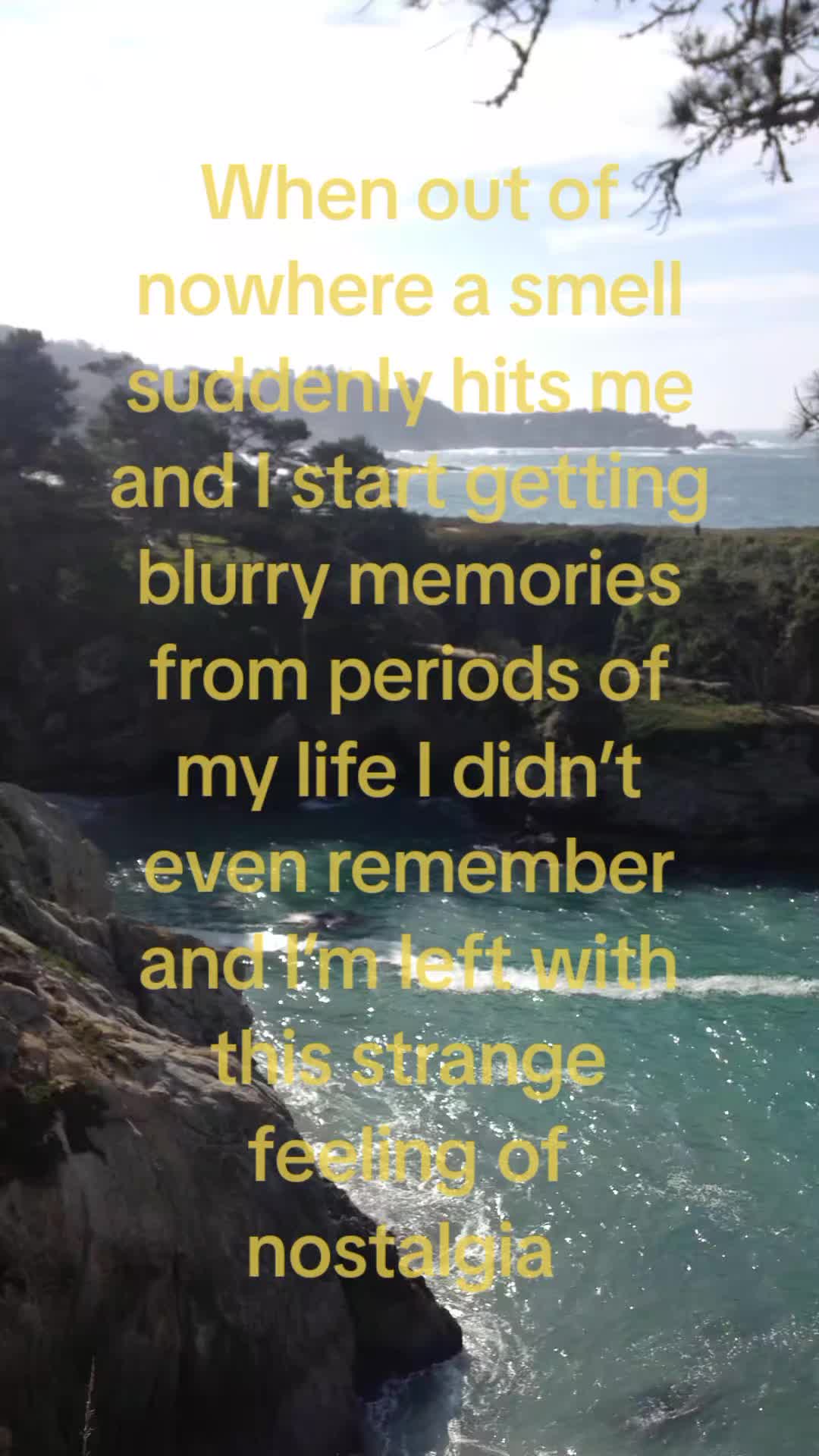@^°^