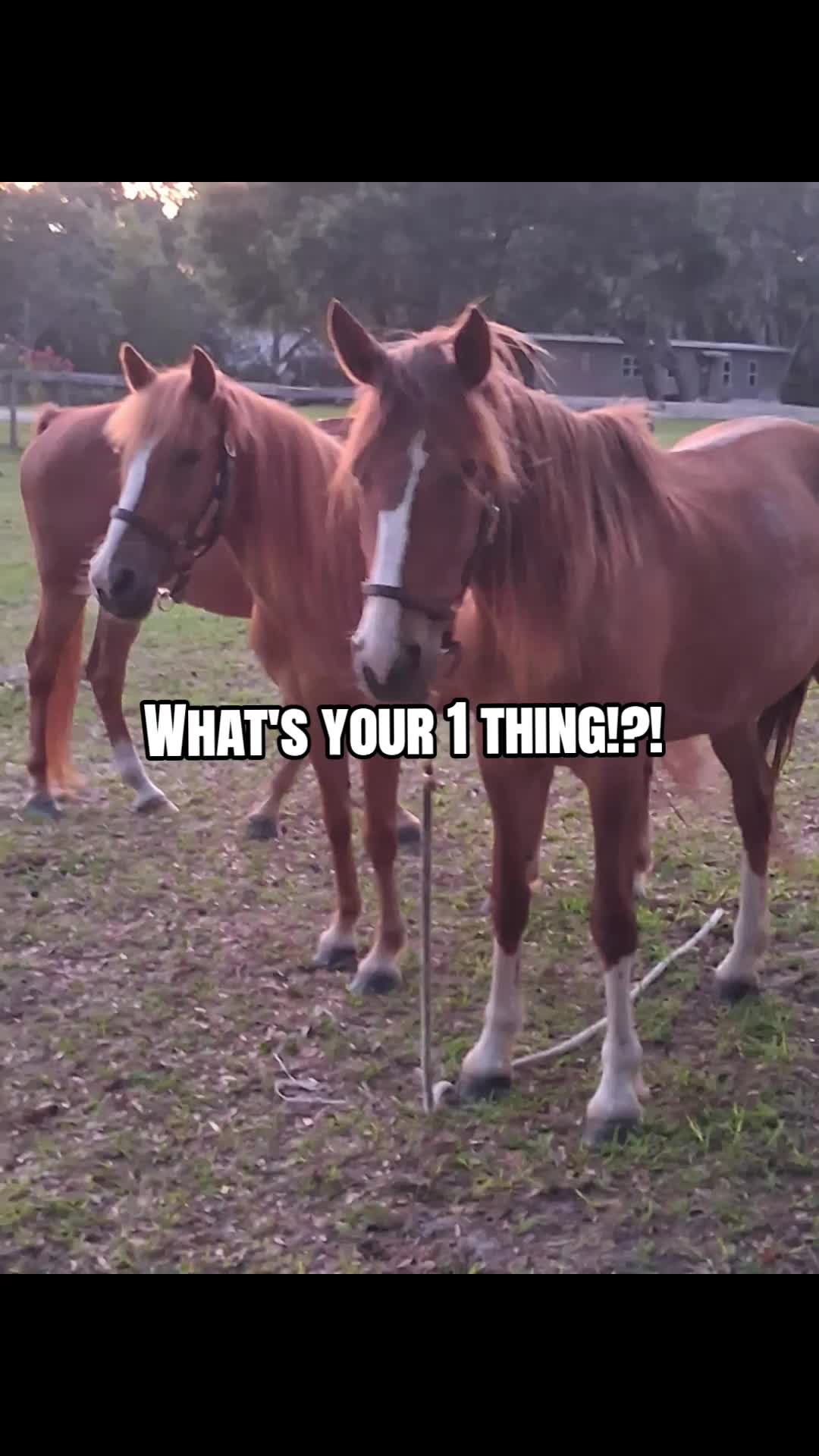 @sandbarfarm