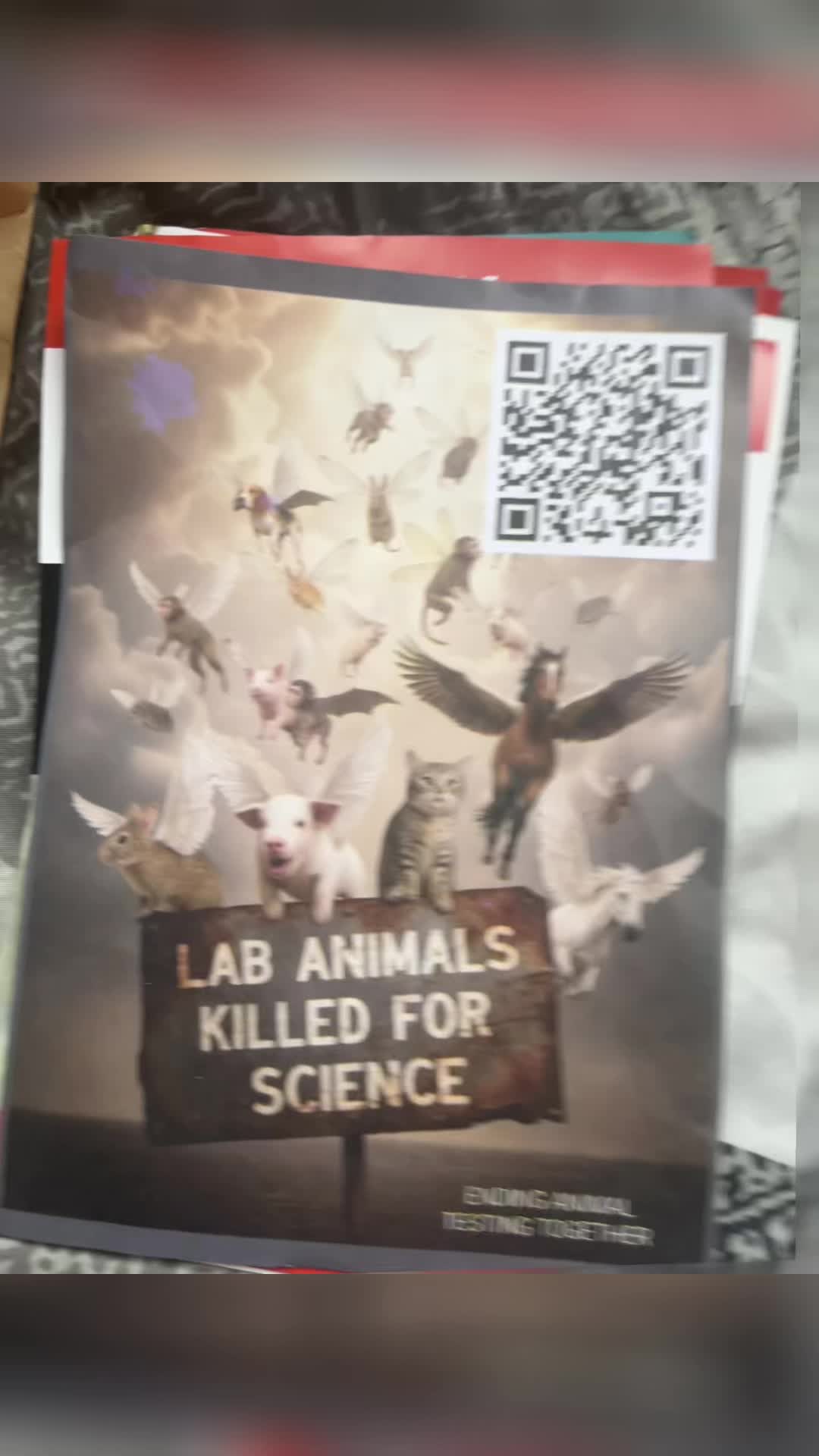 @animalliberationscotland