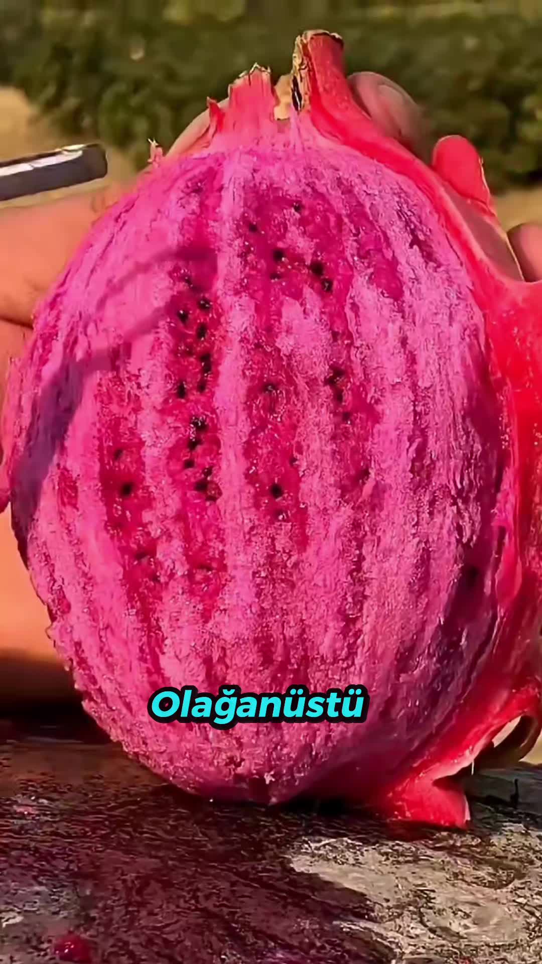 @beynegrafya