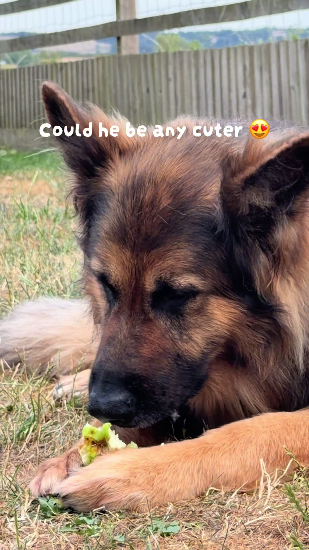 @TheGSDhubwithjennygould