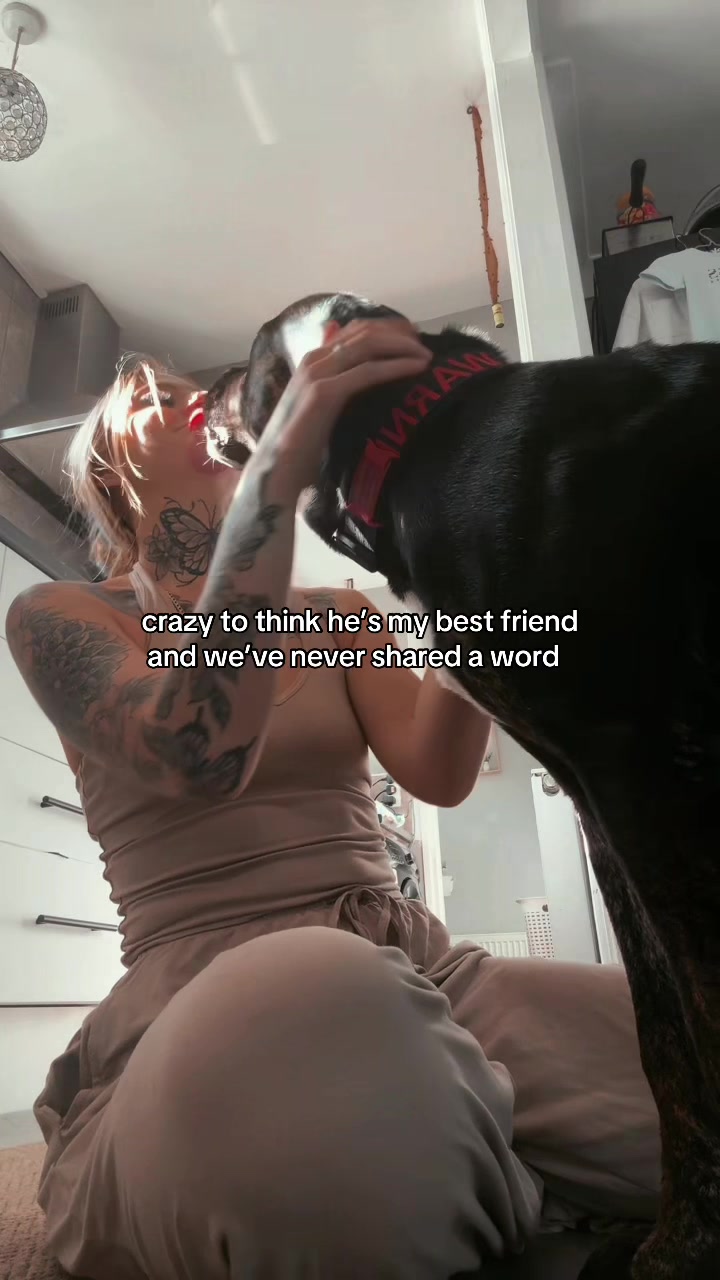 @Cjx_bbyy