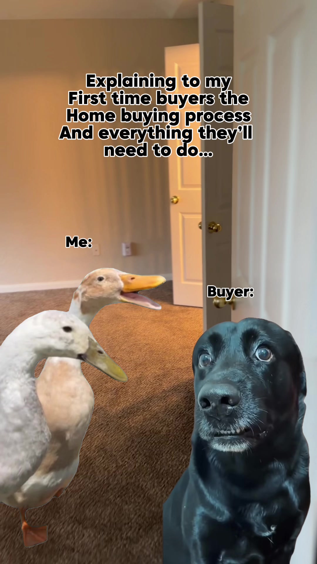 @Carolina | HTX Realtor®🔑🏡