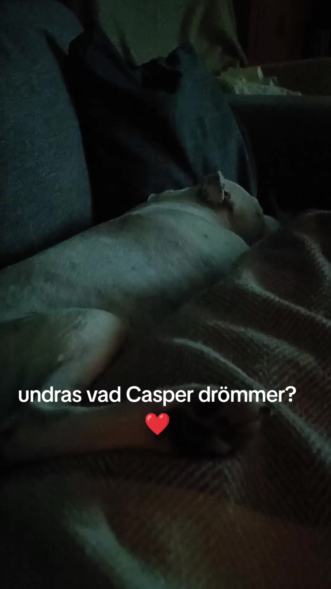 @Emma Terneborg