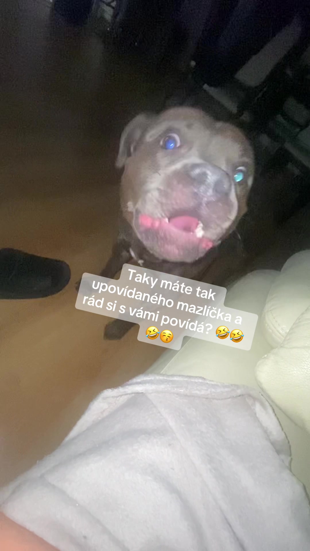 @Beast animal