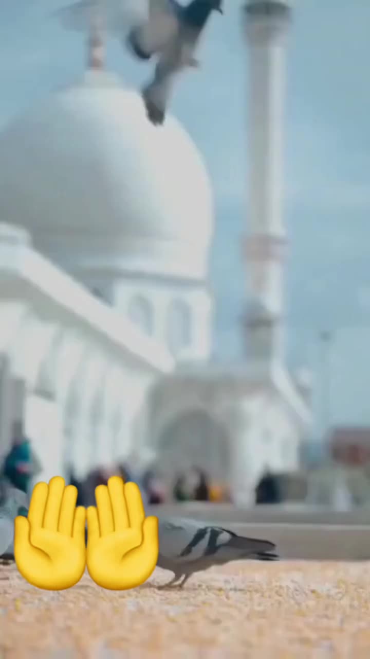 @Марала Бабаева