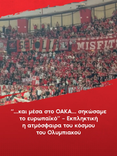 @redinfo.gr