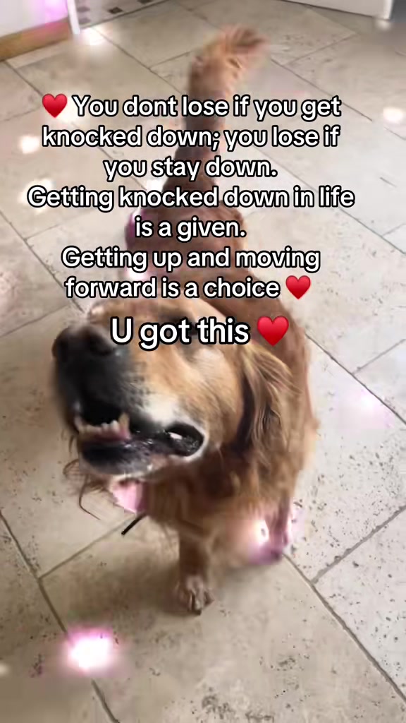 @Happy buddy