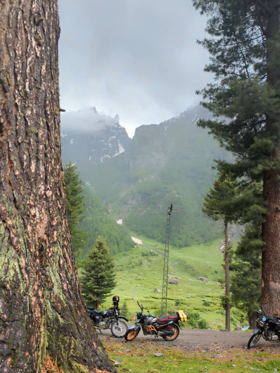 @common man