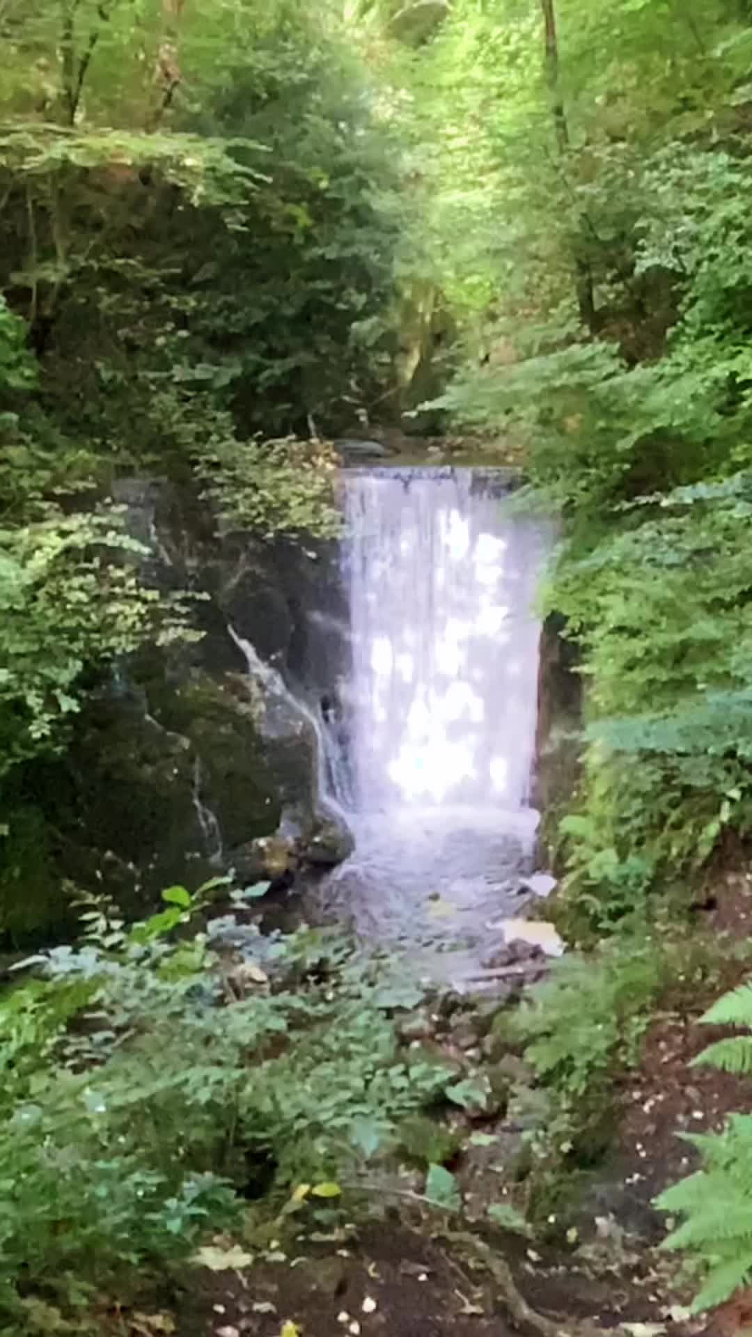 @Angel hikes⛰backup