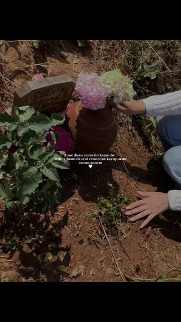 @𝐛𝐮𝐫𝐜𝐮 𝐚.