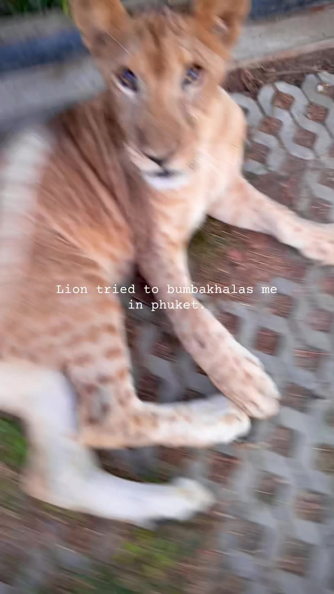 @Veelo
