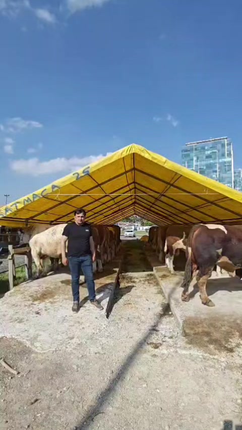 @Hayat Kareleri