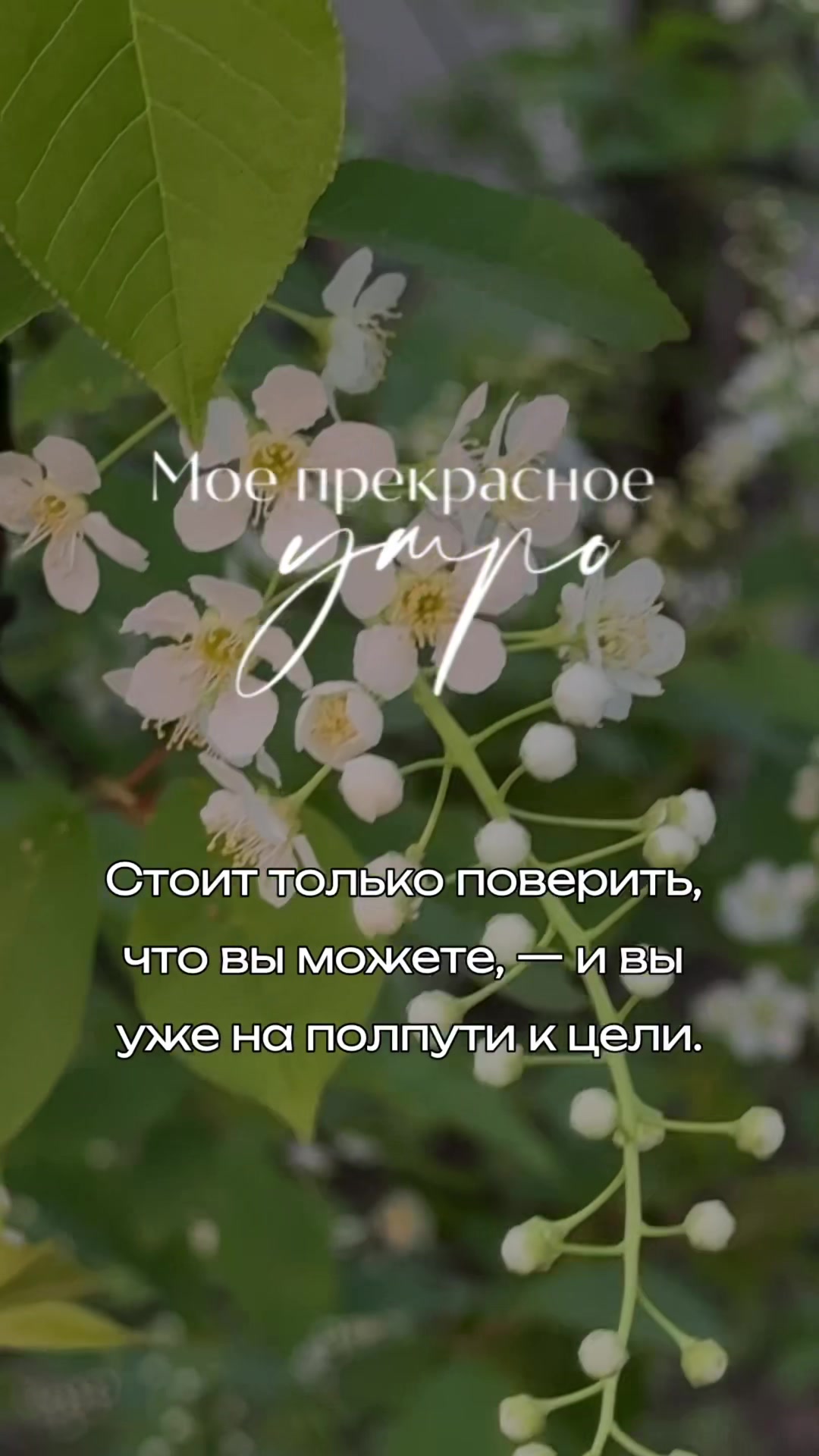 @Vera