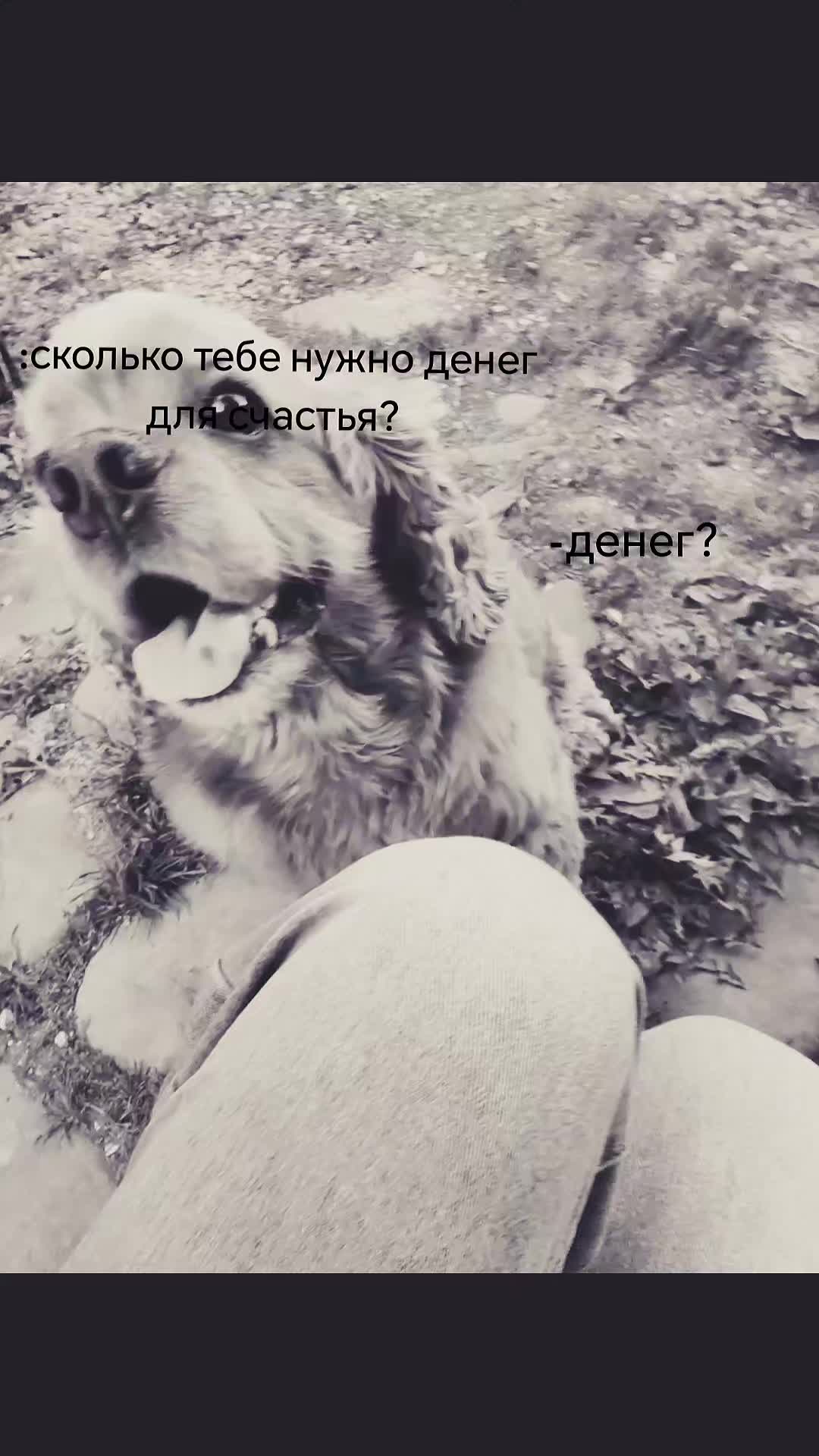 @glovikks🪽